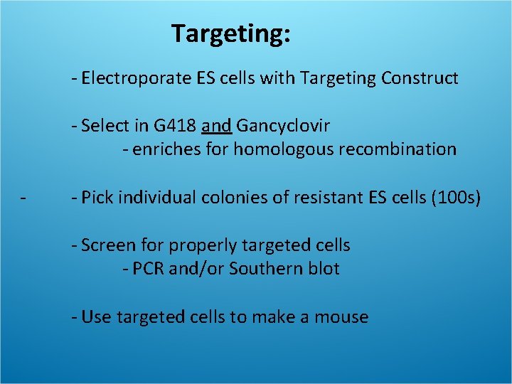 Targeting: - Electroporate ES cells with Targeting Construct - - Select in G 418