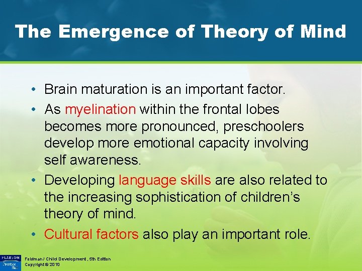 The Emergence of Theory of Mind • Brain maturation is an important factor. •