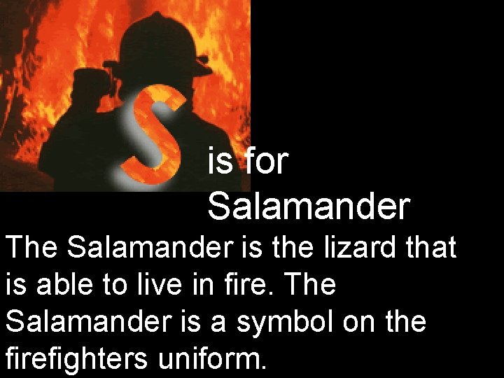 is for Salamander The Salamander is the lizard that is able to live in