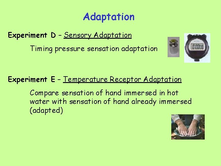Adaptation Experiment D – Sensory Adaptation Timing pressure sensation adaptation Experiment E – Temperature