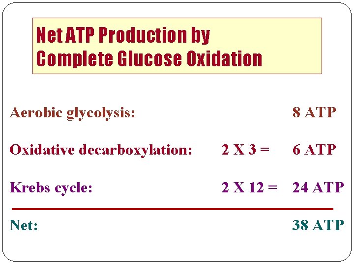 Net ATP Production by Complete Glucose Oxidation Aerobic glycolysis: 8 ATP Oxidative decarboxylation: 2