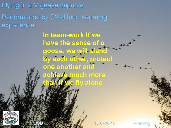 Flying in a V geese improve Performance by 71%Heart warming experience In team-work If