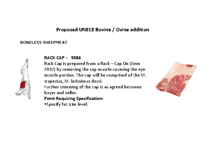 Proposed UNECE Bovine / Ovine addition BONELESS SHEEPMEAT RACK CAP - 5086 Rack Cap