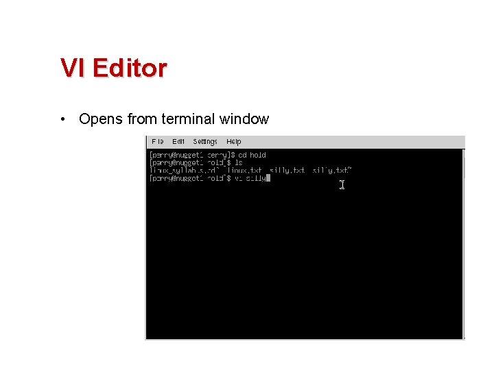 VI Editor • Opens from terminal window 