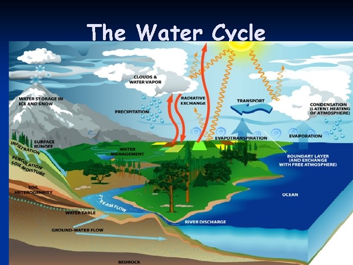 The Water Cycle 