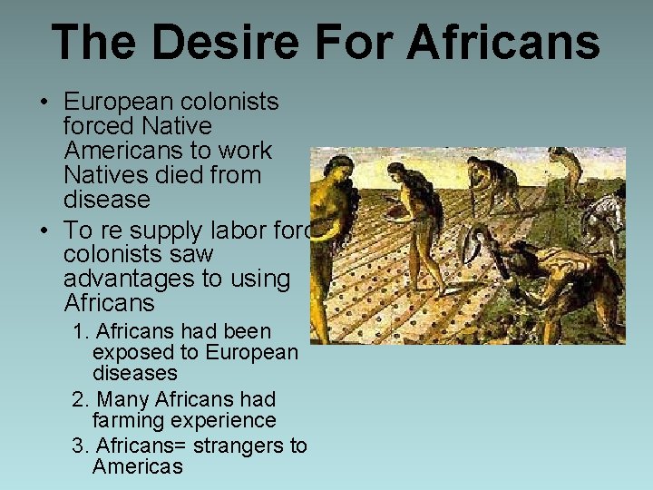 The Desire For Africans • European colonists forced Native Americans to work Natives died