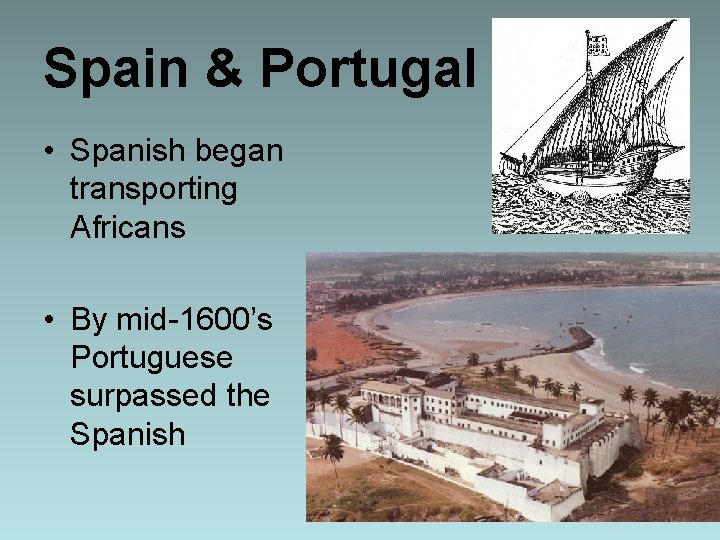 Spain & Portugal • Spanish began transporting Africans • By mid-1600’s Portuguese surpassed the