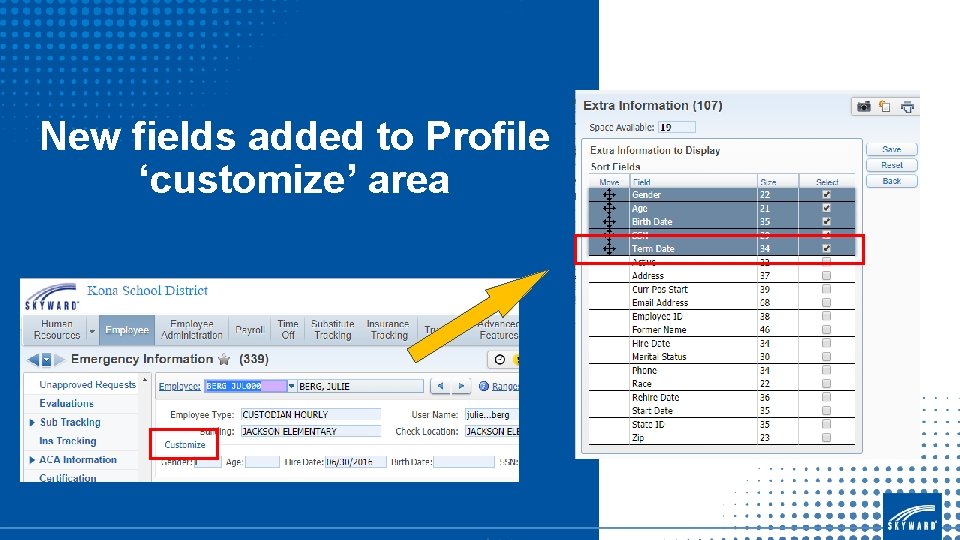 New fields added to Profile ‘customize’ area 