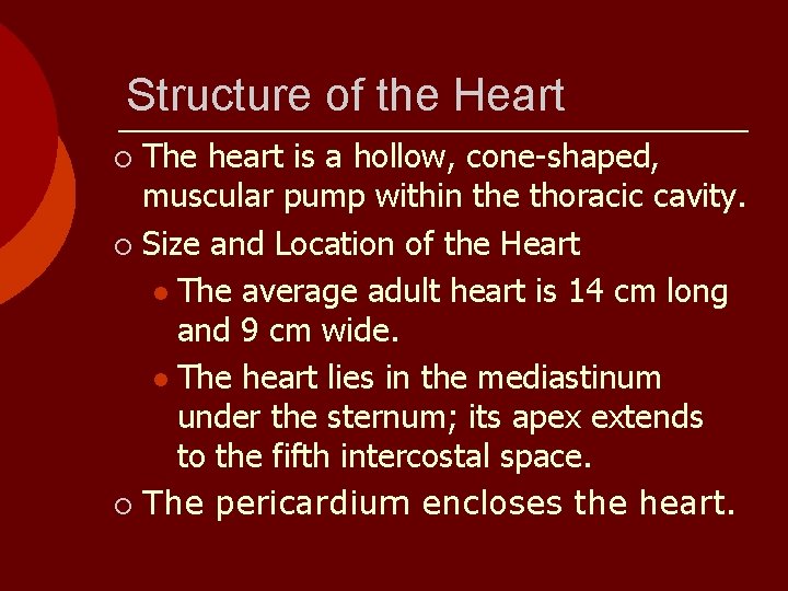 Structure of the Heart The heart is a hollow, cone-shaped, muscular pump within the