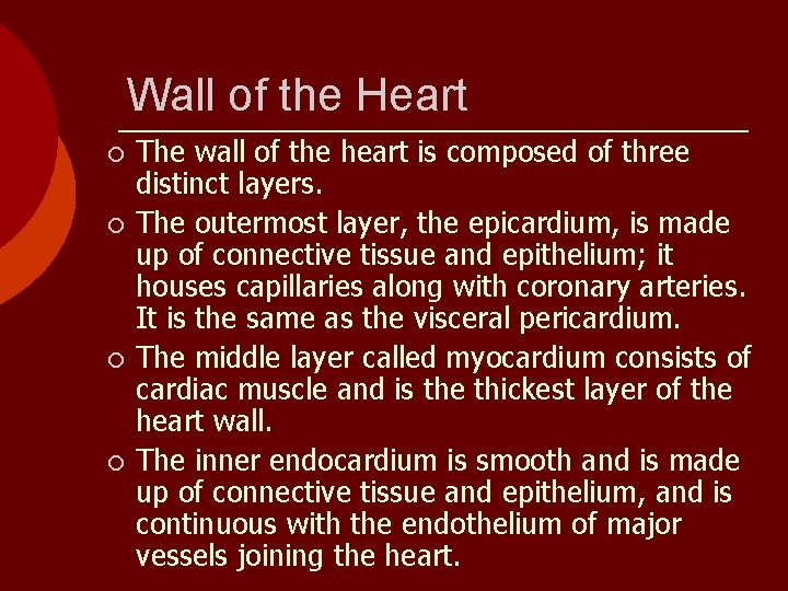 Wall of the Heart ¡ ¡ The wall of the heart is composed of