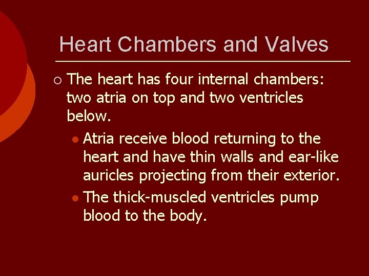 Heart Chambers and Valves ¡ The heart has four internal chambers: two atria on