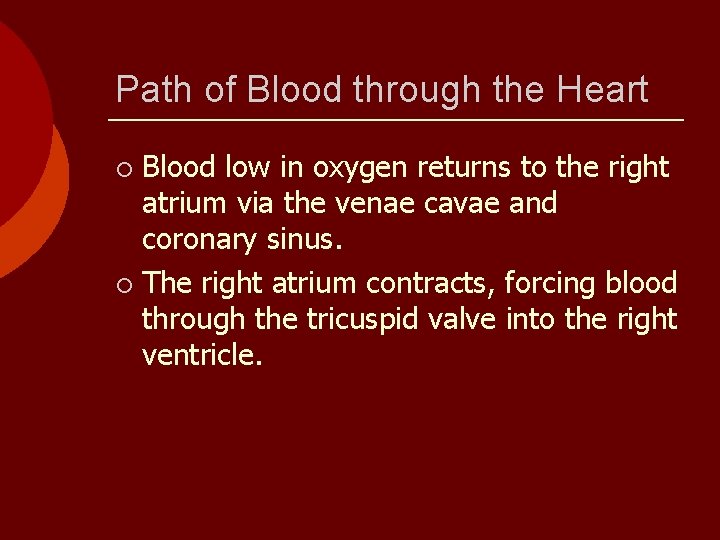Path of Blood through the Heart Blood low in oxygen returns to the right