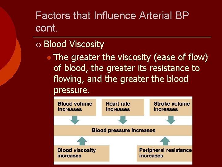 Factors that Influence Arterial BP cont. ¡ Blood Viscosity l The greater the viscosity