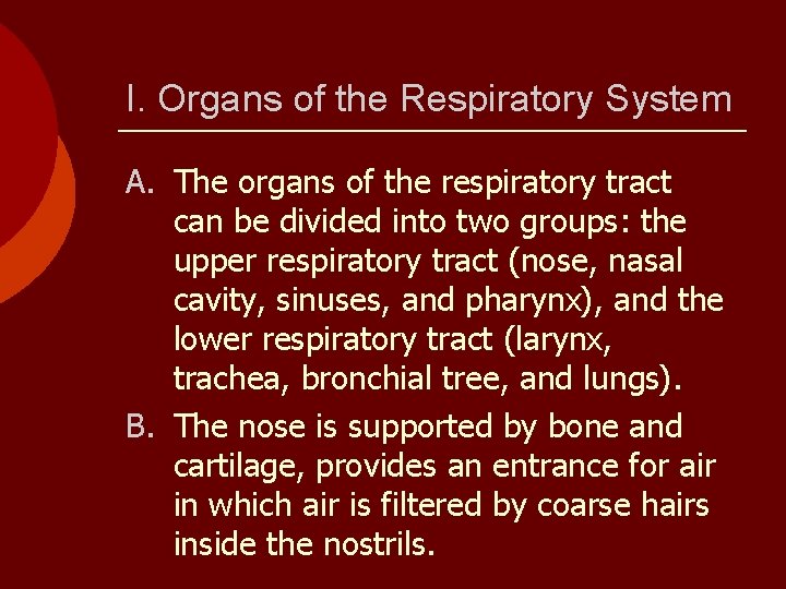 I. Organs of the Respiratory System A. The organs of the respiratory tract can