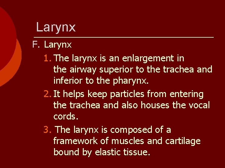 Larynx F. Larynx 1. The larynx is an enlargement in the airway superior to