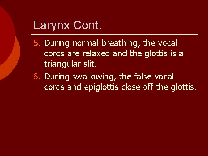 Larynx Cont. 5. During normal breathing, the vocal cords are relaxed and the glottis