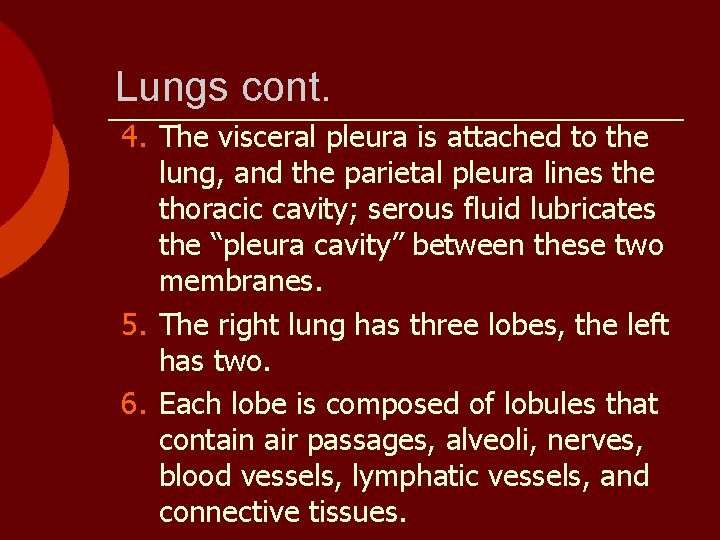 Lungs cont. 4. The visceral pleura is attached to the lung, and the parietal