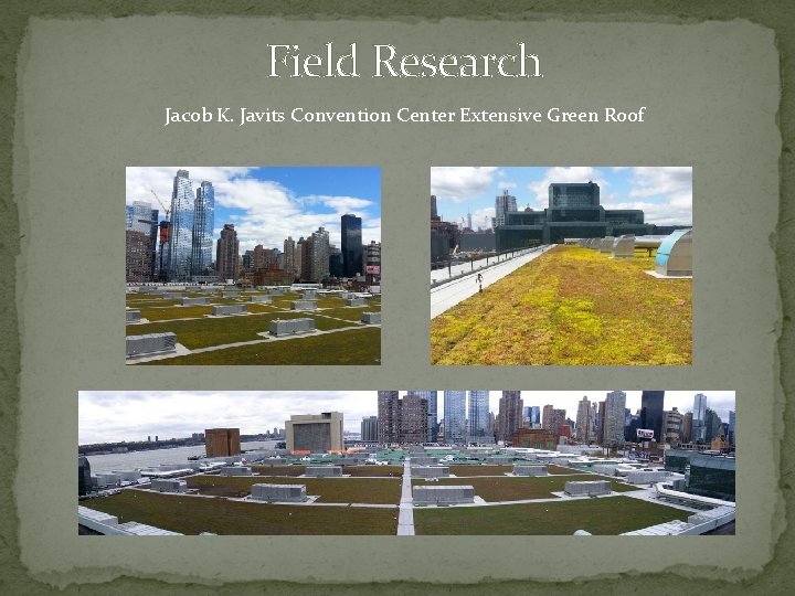 Field Research Jacob K. Javits Convention Center Extensive Green Roof 