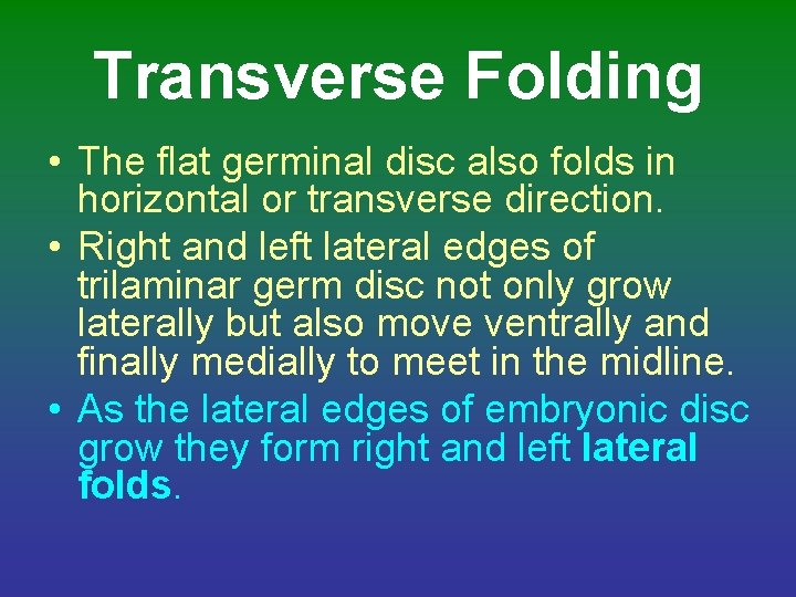 Transverse Folding • The flat germinal disc also folds in horizontal or transverse direction.