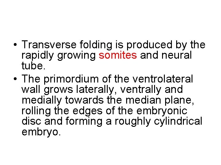  • Transverse folding is produced by the rapidly growing somites and neural tube.