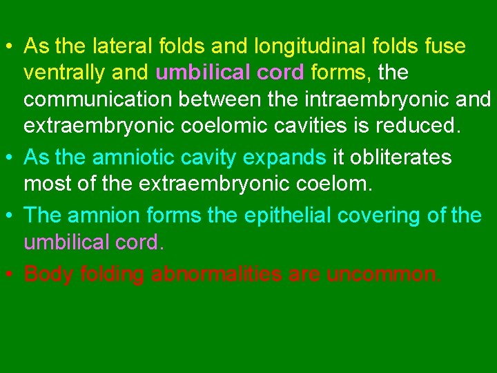  • As the lateral folds and longitudinal folds fuse ventrally and umbilical cord