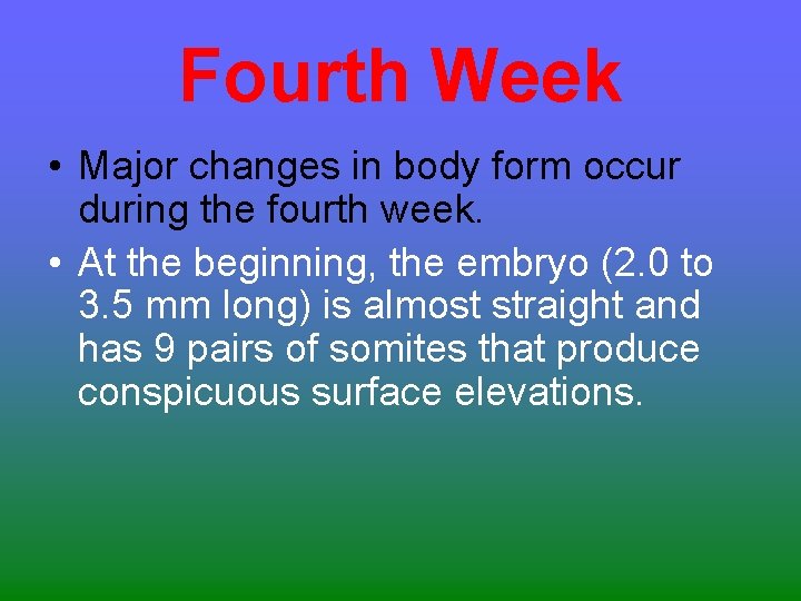 Fourth Week • Major changes in body form occur during the fourth week. •