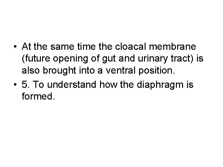  • At the same time the cloacal membrane (future opening of gut and