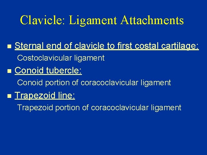Clavicle: Ligament Attachments n Sternal end of clavicle to first costal cartilage: Costoclavicular ligament