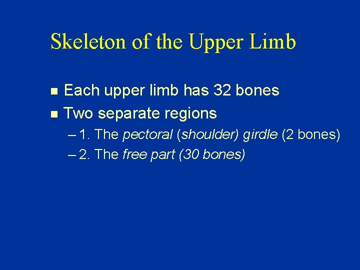 Skeleton of the Upper Limb n n Each upper limb has 32 bones Two