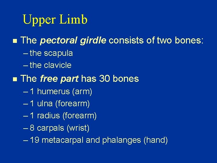 Upper Limb n The pectoral girdle consists of two bones: – the scapula –