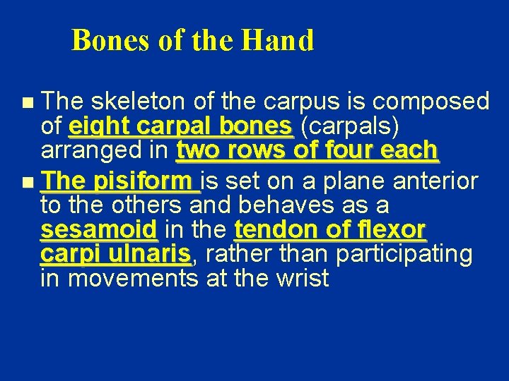 Bones of the Hand The skeleton of the carpus is composed of eight carpal