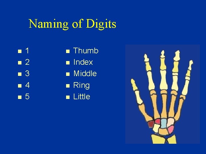 Naming of Digits n n n 1 2 3 4 5 n n n