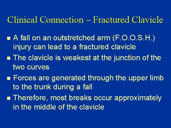 Clinical Connection – Fractured Clavicle n n A fall on an outstretched arm (F.