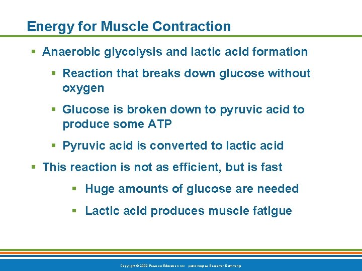 Energy for Muscle Contraction § Anaerobic glycolysis and lactic acid formation § Reaction that