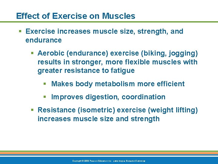 Effect of Exercise on Muscles § Exercise increases muscle size, strength, and endurance §