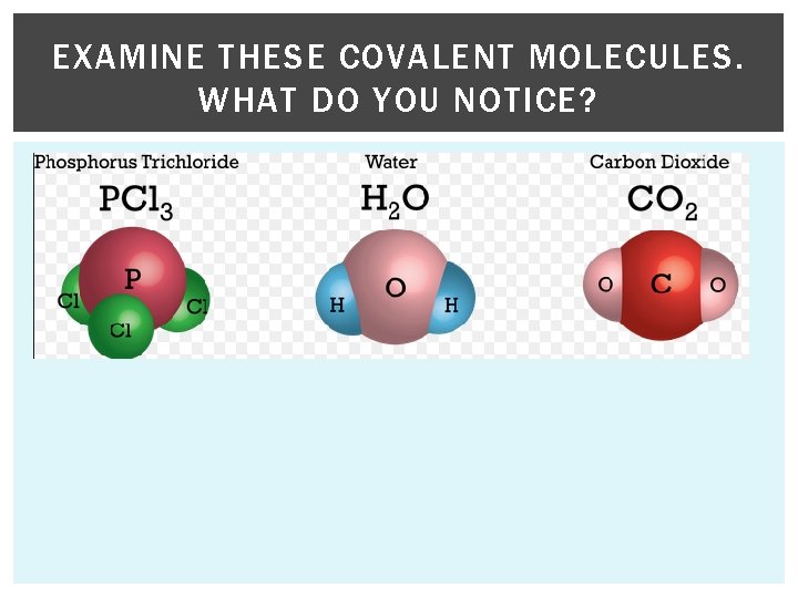 EXAMINE THESE COVALENT MOLECULES. WHAT DO YOU NOTICE? 