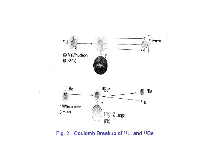 Fig. 3 Coulomb Breakup of 11 Li and 11 Be 