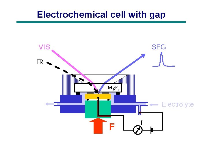 Electrochemical cell with gap VIS SFG IR Mg. F 2 Electrolyte F I 