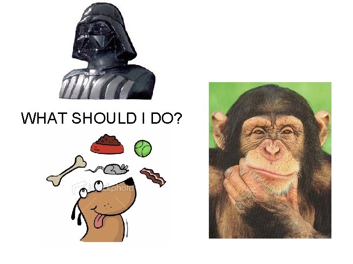 WHAT SHOULD I DO? 
