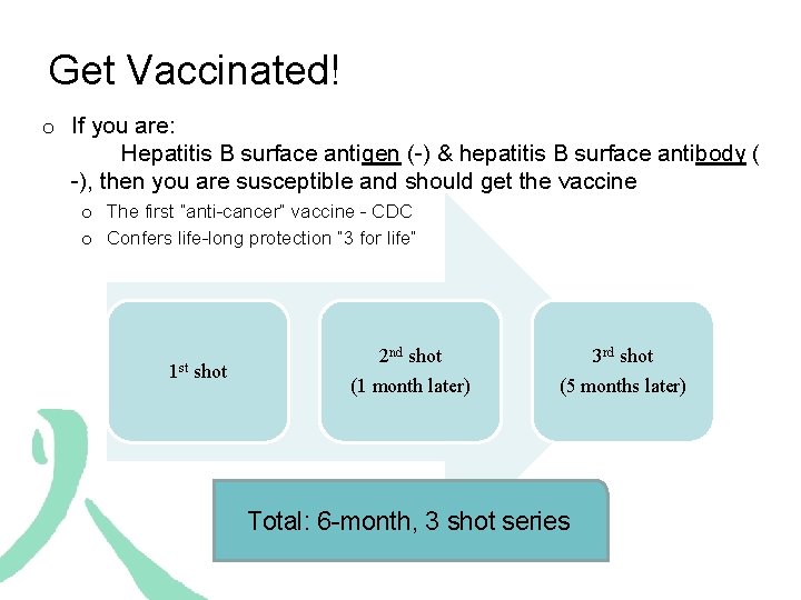 Get Vaccinated! o If you are: Hepatitis B surface antigen (-) & hepatitis B