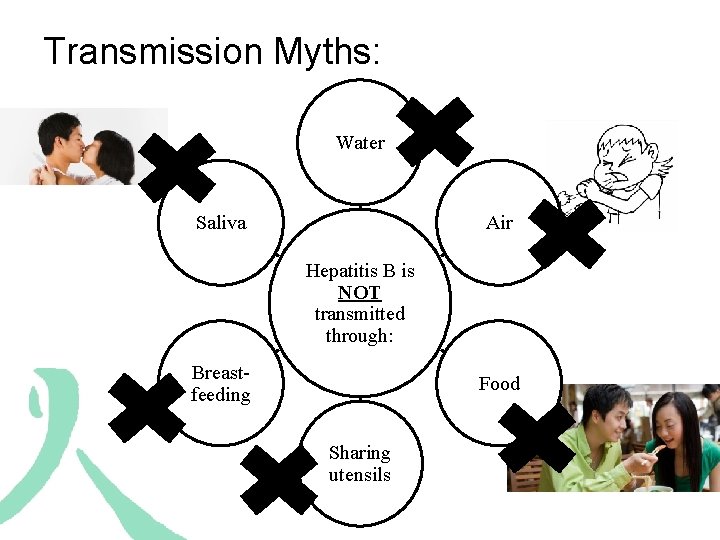 Transmission Myths: Water Saliva Air Hepatitis B is NOT transmitted through: Breastfeeding Food Sharing