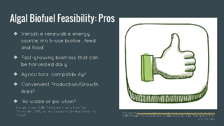 Algal Biofuel Feasibility: Pros ❖ Versatile renewable energy source; multi-use biofuel, feed and food