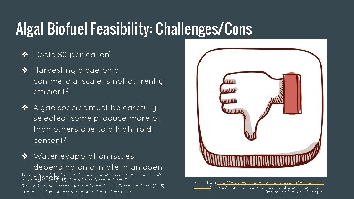 Algal Biofuel Feasibility: Challenges/Cons ❖ Costs $8 per gallon 1 ❖ Harvesting algae on