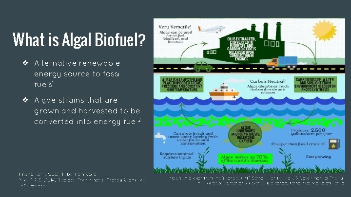 What is Algal Biofuel? ❖ Alternative renewable energy source to fossil fuels 1 ❖