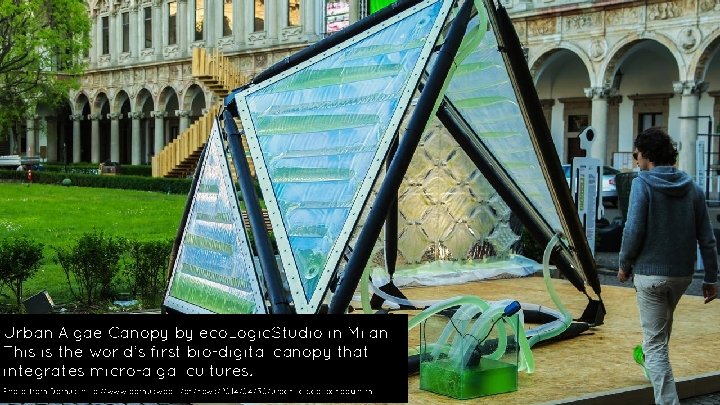 Urban Algae Canopy by eco. Logic. Studio in Milan This is the world’s first