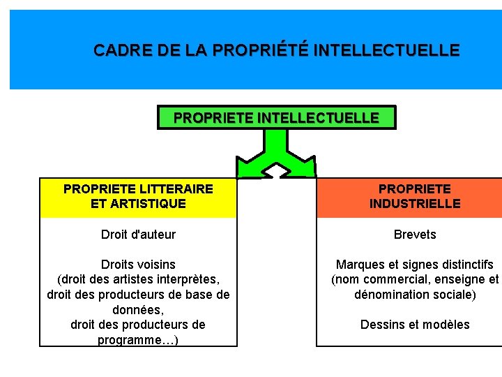 CADRE DE LA PROPRIÉTÉ INTELLECTUELLE PROPRIETE LITTERAIRE ET ARTISTIQUE PROPRIETE INDUSTRIELLE Droit d'auteur Brevets