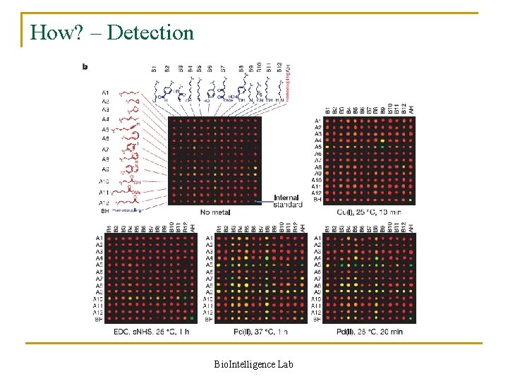 How? – Detection Bio. Intelligence Lab 