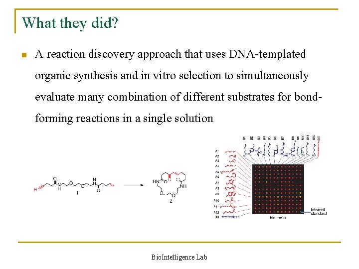 What they did? n A reaction discovery approach that uses DNA-templated organic synthesis and