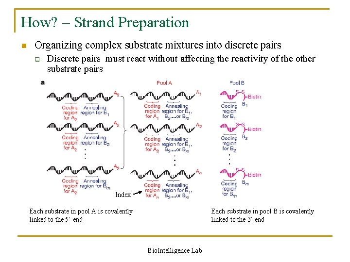 How? – Strand Preparation n Organizing complex substrate mixtures into discrete pairs q Discrete