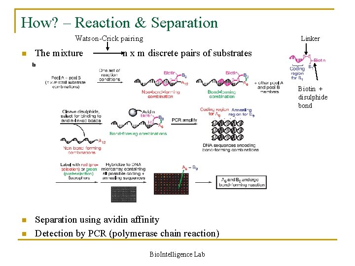 How? – Reaction & Separation Watson-Crick pairing n The mixture Linker n x m